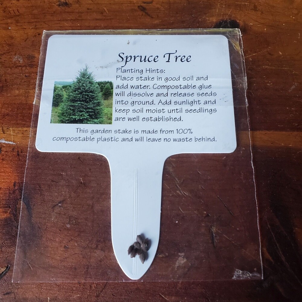 Blue Spruce Seed Packet - Grow Christmas Trees - Reforestation Project